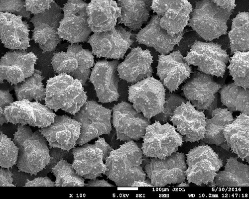 Costed Diamond Electro Plated Nickel Coated Synthetic Industrial Diamond Micro Powder